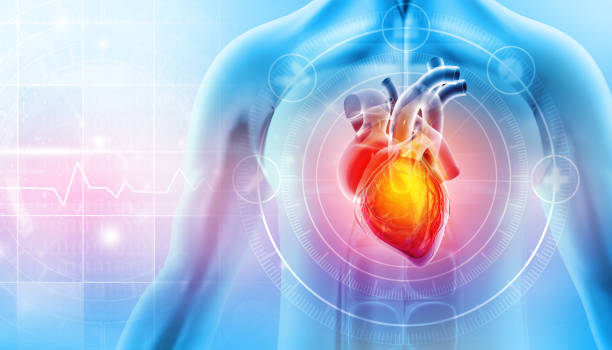 What Does Your Heart’s Electrical System Reveal About Sudden Cardiac Arrest?