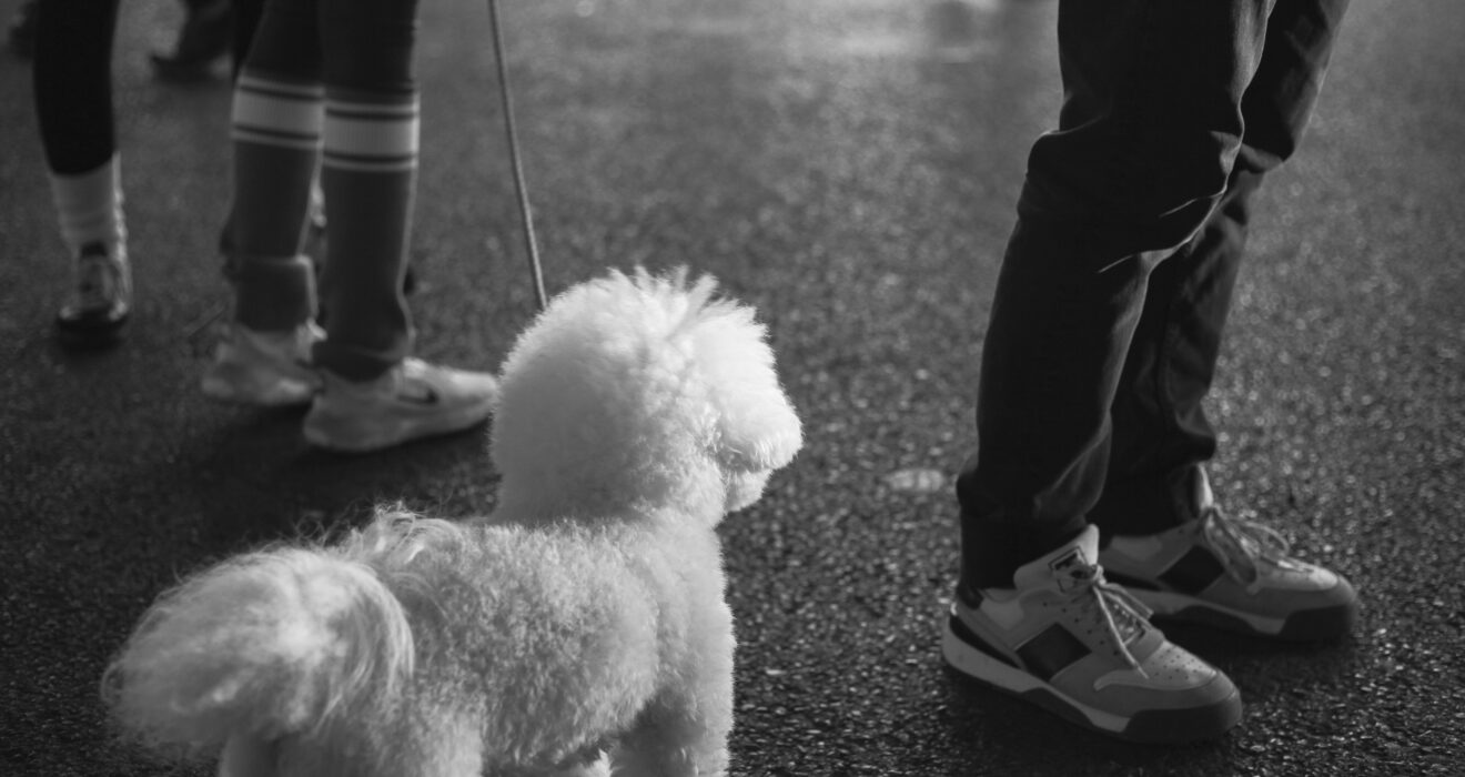 What If Your Legs Are Trying to Tell You Something You’re Ignoring?